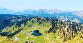 Superbe appartement au centre de Samoens